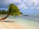 ile aux nattes