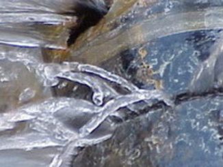 eau-fuite